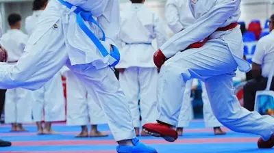 Akademik Karate Çekmeköy