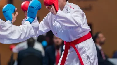 Aslanlar Karate Çekmeköy