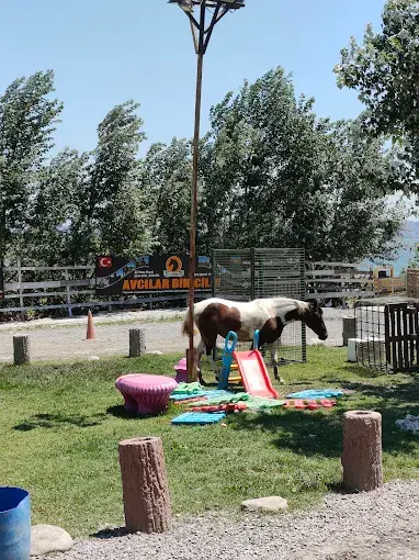 Kurum görseli