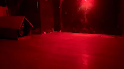 Avcılar korku evi mühürlü ev