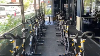 Regeneration GYM