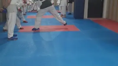 Aske Karate Spor Kulübü