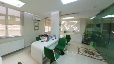 Amerikan Kültür Avcılar Dil Okulu