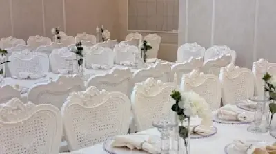 Hanedan organizasyon
