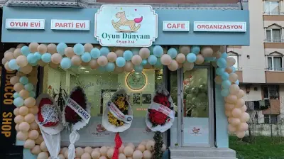 OYUN DÜNYAM OYUN EVİ VE ORGANİZASYON