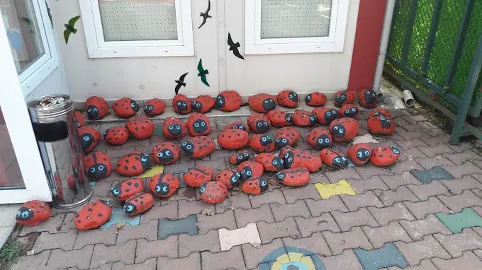 Kurum görseli