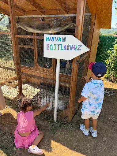 Kurum görseli