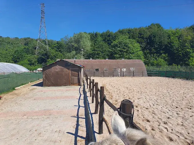 Kurum görseli