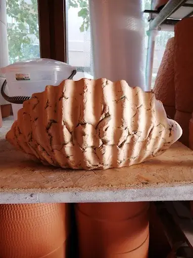 Kurum görseli