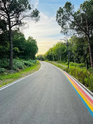 Kurum görseli