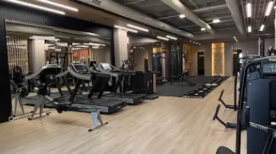Fx Training Club