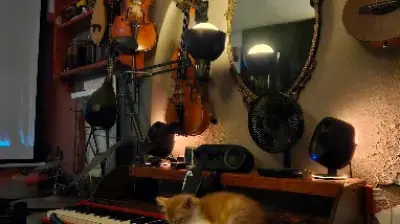 G. Faruk Ünal Müzik Okulları