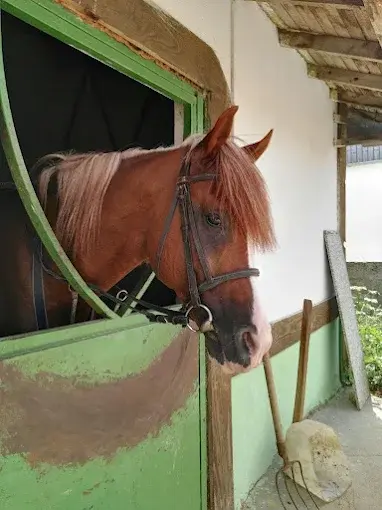 Kurum görseli