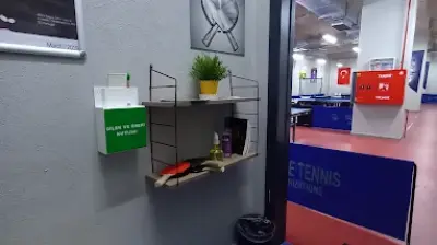 TTO Table Tennis Organizations