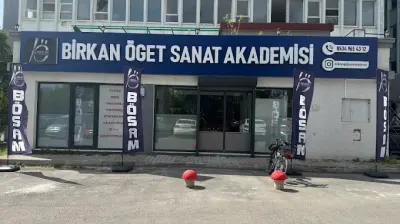 Birkan Öget Sanat Akademisi