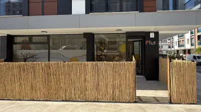 Pluto Çocuk
