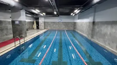Dolphin Yüzme Kulubu