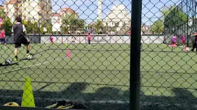 Altınordu Kurtköy Futbol Okulu