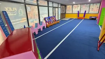 Flex Gym & Cimnastik | Sultanbeyli