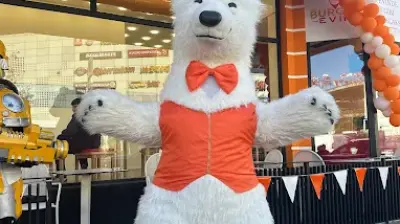 Furki organizasyon