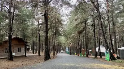 Başakşehir Macera Ormanı ve İzcilik Kampı