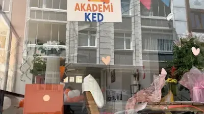 Ked Sanat Akademisi