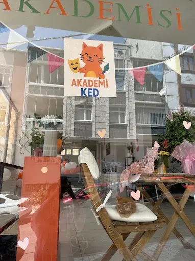 Kurum görseli