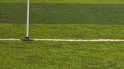 Altın ordu futbol kulübü