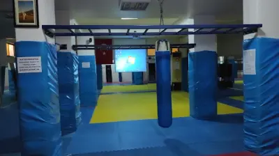 Stildo taekwondo