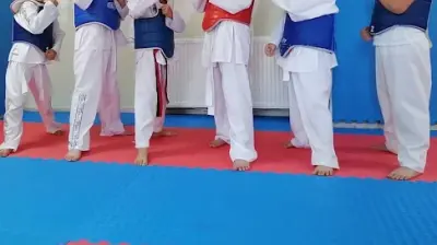Aras Spor Kulübü Taekwondo