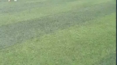 Bafa spor kulübü