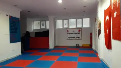 ELMAS TAEKWONDO IHTISAS SPOR KULÜBÜ DRN.