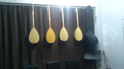 Roni Müzik Evi